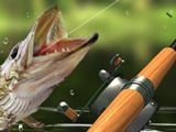 Игра Рыбалка: Утренний Улов