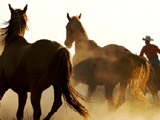 Игра Пазл: Ковбои на Лошадях